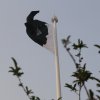 Tallest Flagpole at Sukkur, Sindh, Pakistan(Turnkey Project)